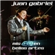 Juan Gabriel - Mis 40 En Bellas Artes